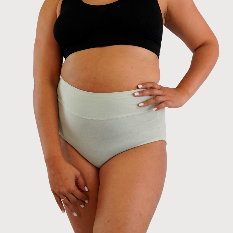 High Rise Cotton Panty Aura Wear