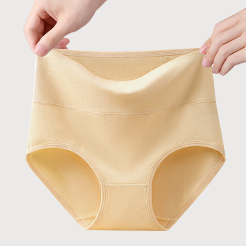 High Rise Cotton Panty Aura Wear
